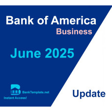 Fillable 2025 June Bank of America Business Statement Template